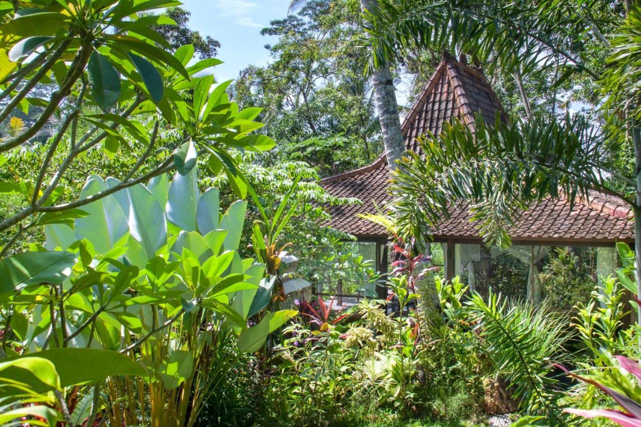 Villa Mahadevi Jungle Retreat Joglo 1 乌布 外观 照片